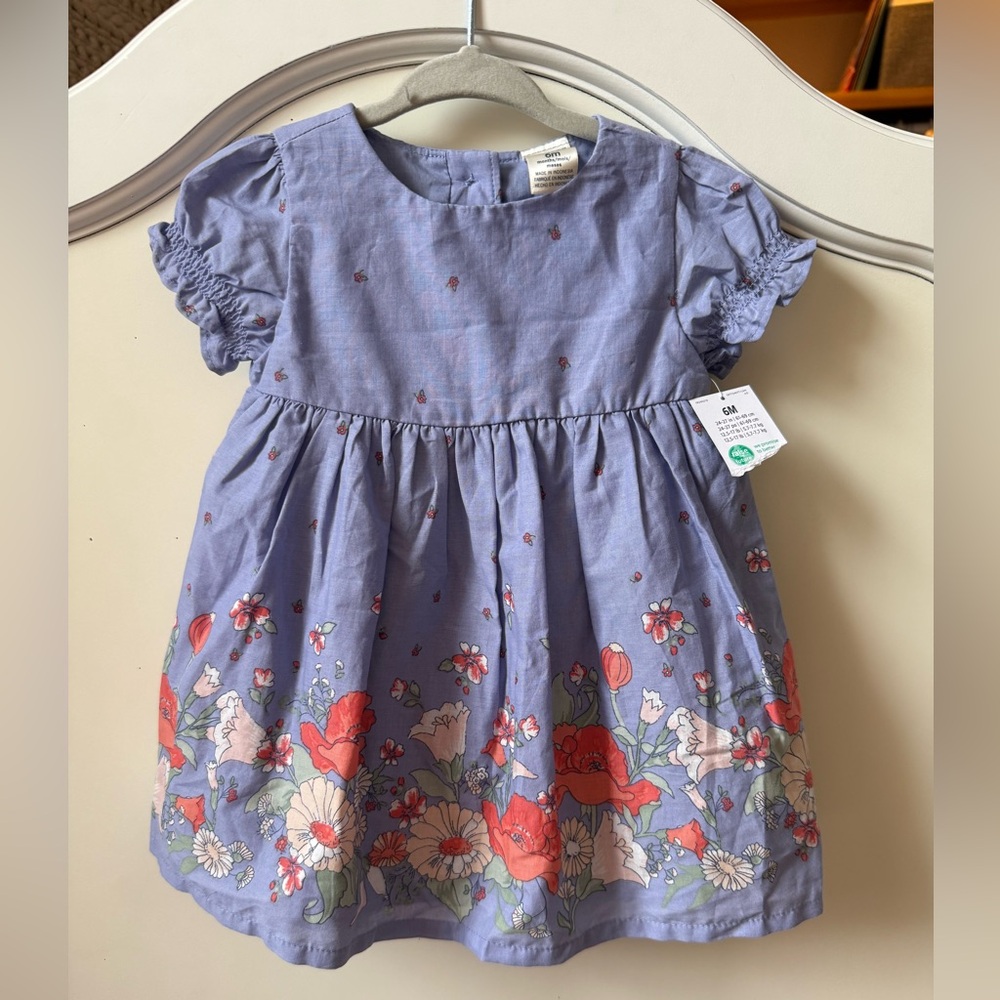 BNWT Carter’s Floral Blue Kids Dress
